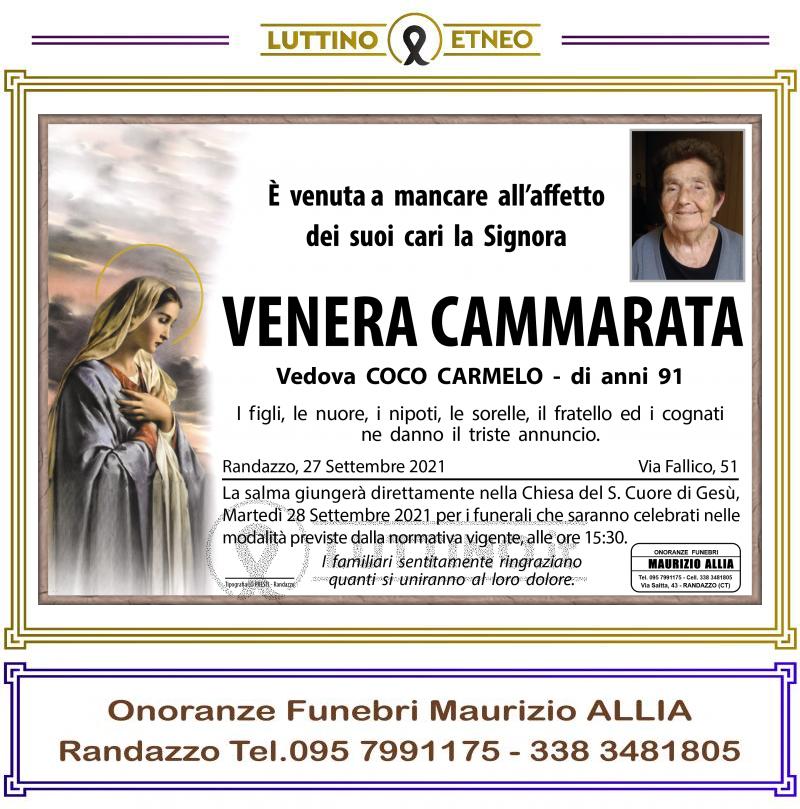 Venera  Cammarata 